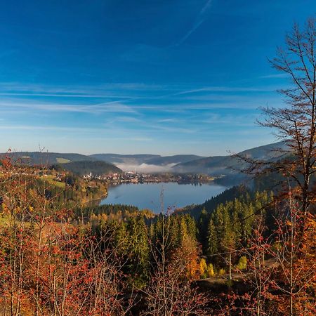 Fewo Schwarzwaldstern 2, Todtnau, 4 Schlafzimmer Экстерьер фото